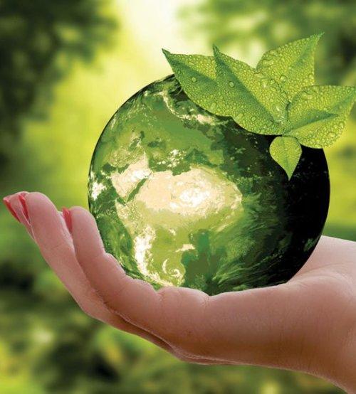 Environment